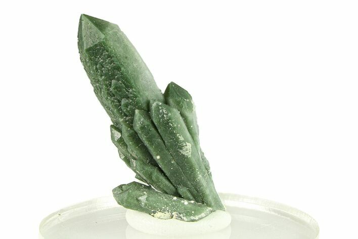 Green Hedenbergite Included Quartz Crystals - Mongolia #294214